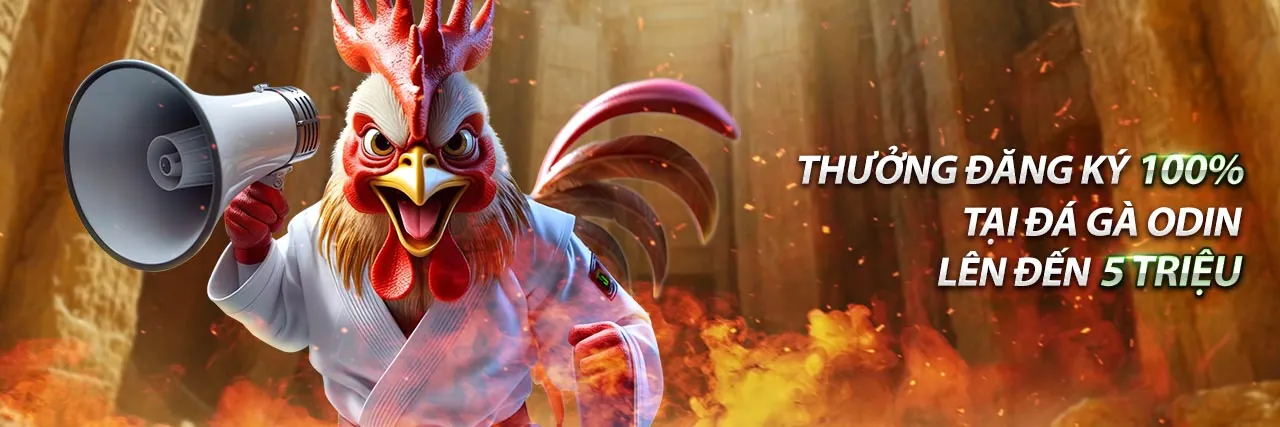 Chính sách Cookie của ku 393, bảo vệ dữ liệu người dùng